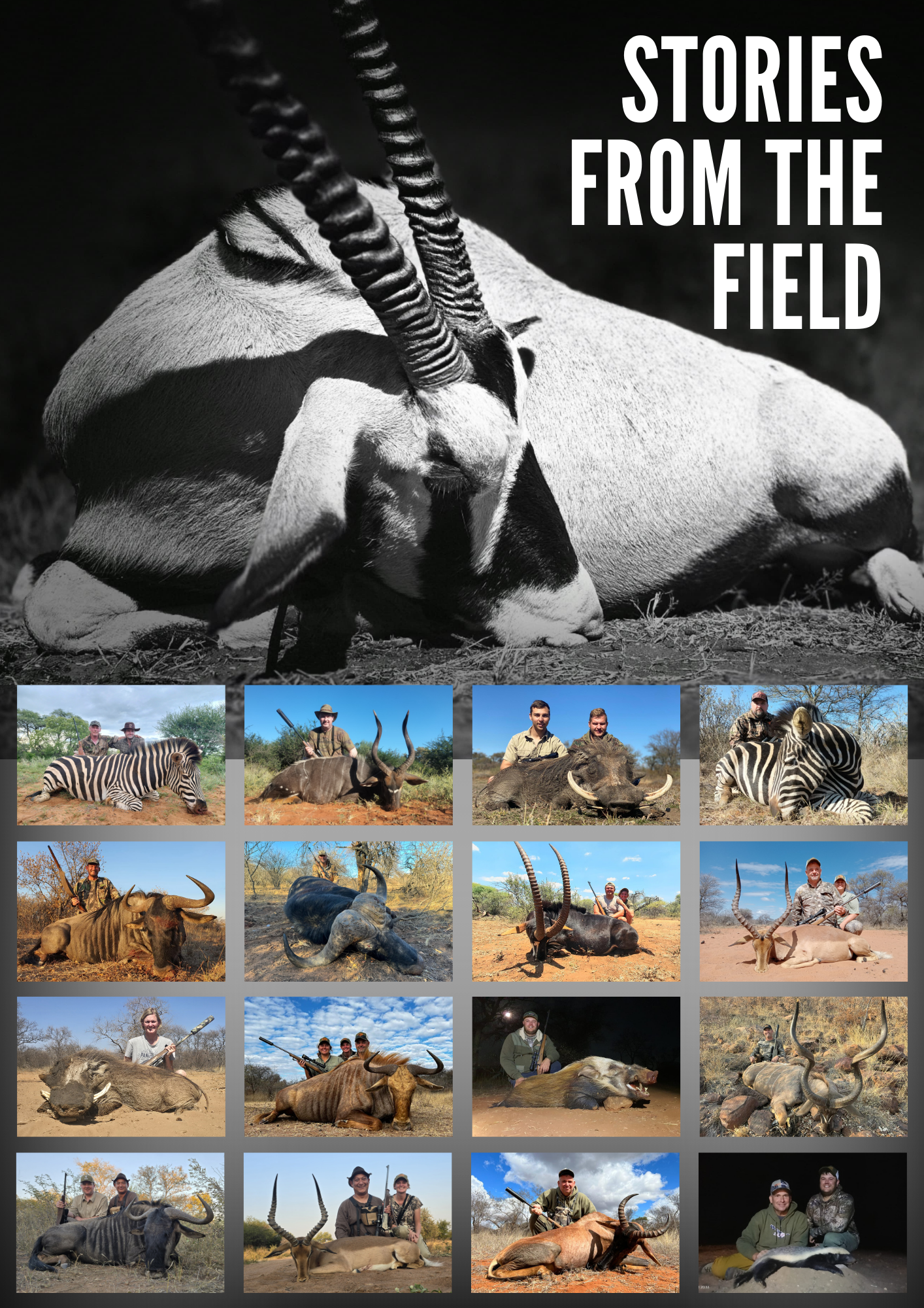 Stories from the field